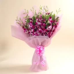 Purple Orchids (6 pcs)