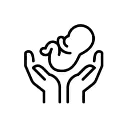 Decoration Category Images Icons