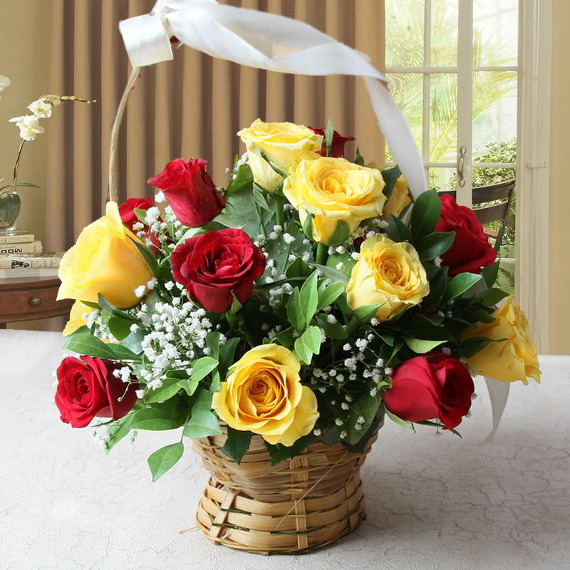 Red and Yellow Roses