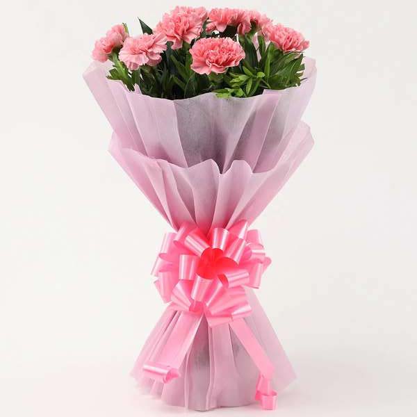 Pink Carnations Bunches