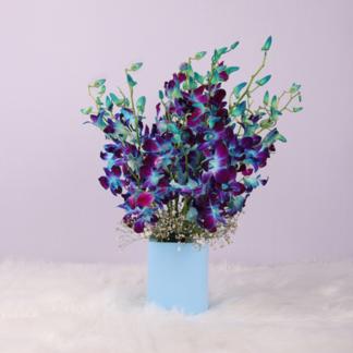 Dreamy Blue Orchids in Vase
